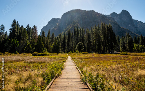 Nice view from Cook meadow loop in Yosemite National Park during summer season . One of the most famous and beautiful national park of the country locate in California , United States of America