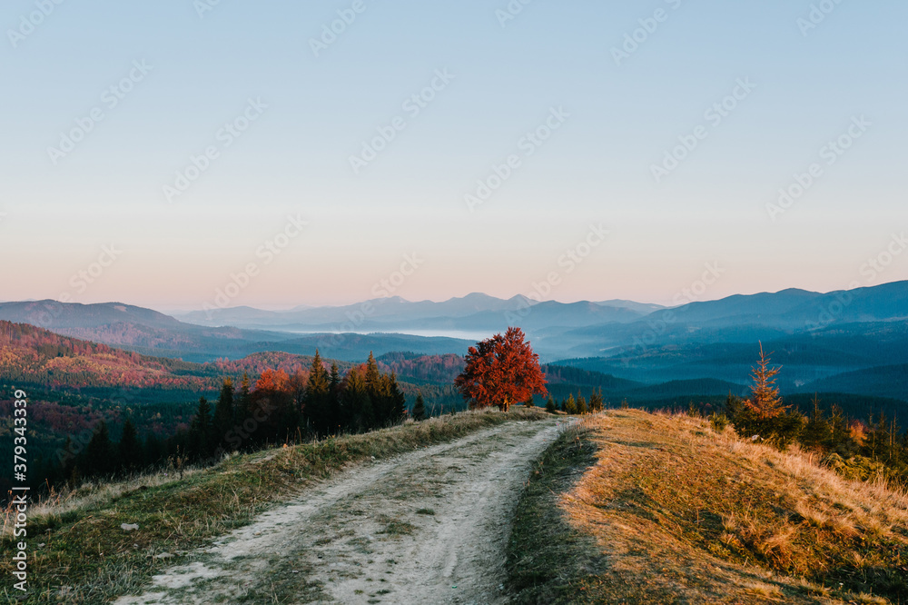 Autumn afternoon in the mountains. Trees on the edge of a hill in fall colors. The wonderful countryside in the morning. Amazing view with fog and high mountain peaks behind.