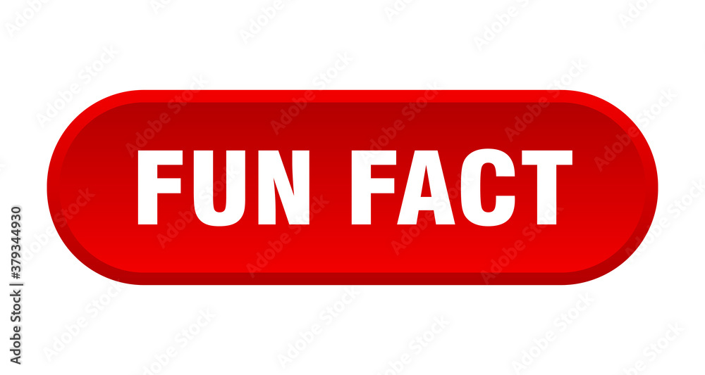 fun fact button. rounded sign on white background