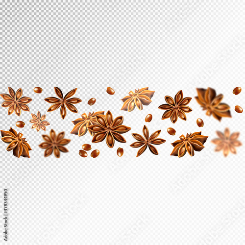 Seamless star anise border. Quality realistic vector, 3d illustration