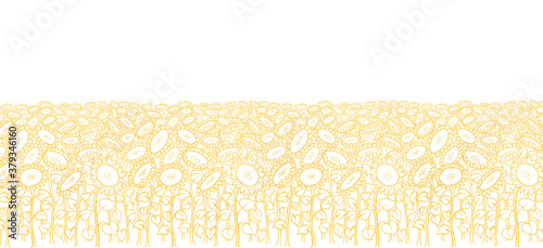 Sunflower field background. Agriculture flower plant. Hand drawn sketch. Oil production wrapper. Thin yellow line. Vector illustration. Copy space.