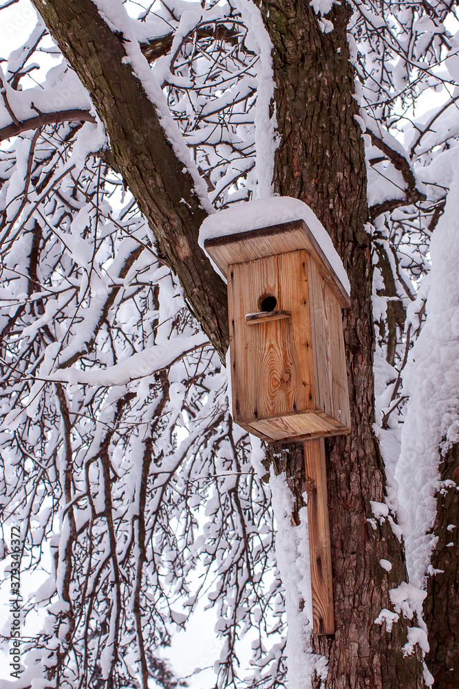 Wooden birdhouse hanging on tree in park on clear winter day. Concept of helping birds in winter time. Wooden birdhouse hanging on tree in park on clear winter day. Concept of helping birds in winter time.