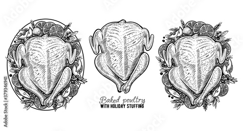 Vector carcass of chicken or turkey, hand drawn baked poultry. Engraving vintage food.