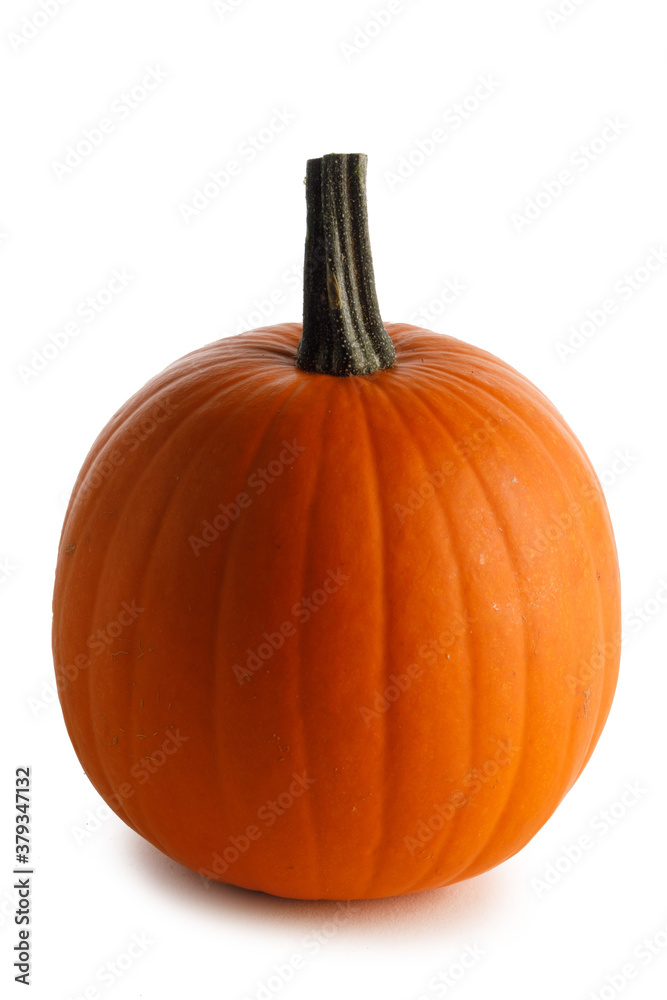 Obraz premium One orange pumpkin