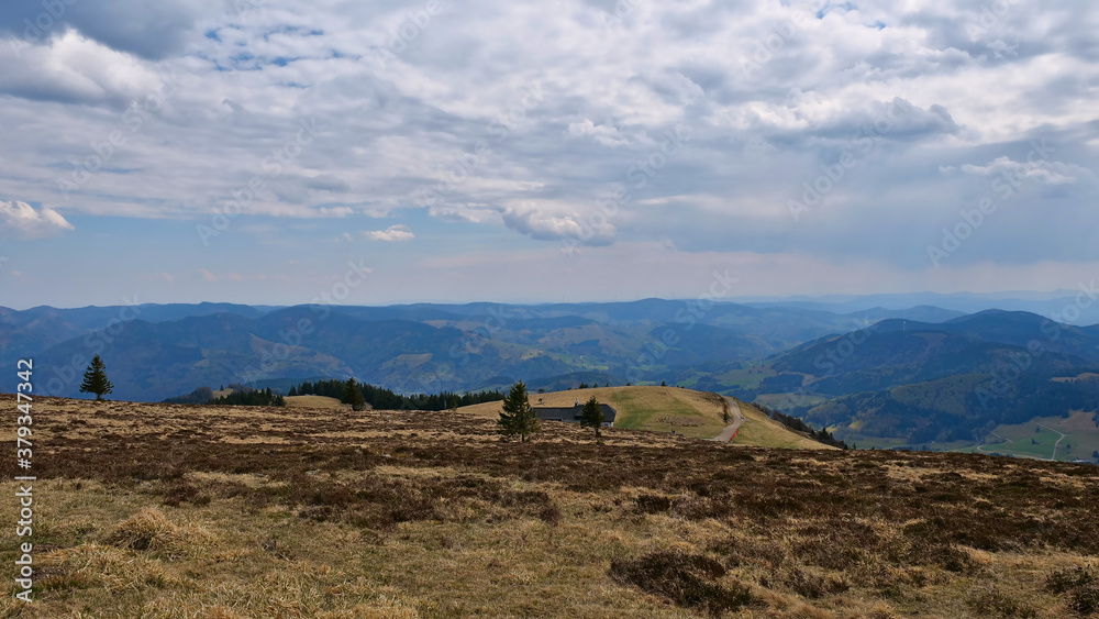 Panorama view from top of Belchen, one of the largest mountains in Black Forest, Baden-Wuerttemberg, Germany, in eastern direction at sunny spring day with dry grass in foreground.