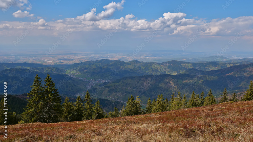 Panoramic view over the foothills of Black Forest, Germany with villages Münstertal and Staufen im Breisgau as well as Rhine valley in the background from the top of Belchen in spring.