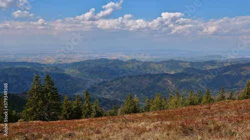 Panoramic view over the foothills of Black Forest  Germany with villages M  nstertal and Staufen im Breisgau as well as Rhine valley in the background from the top of Belchen in spring.