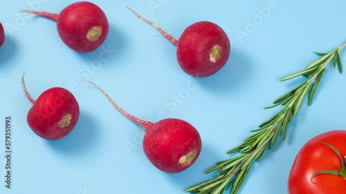 Spermatozoon swimming toward the egg isolated on blue background. Human Sperm, crimson red radish, rosemary and red tomato vegetable isolated. New life conception.