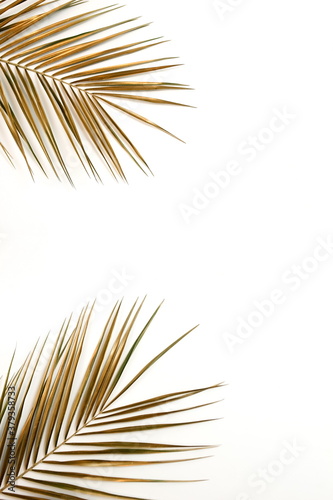 Gold leaf isolated on a white background top view. Golden palm leaves frame with copy space. abstract poster.