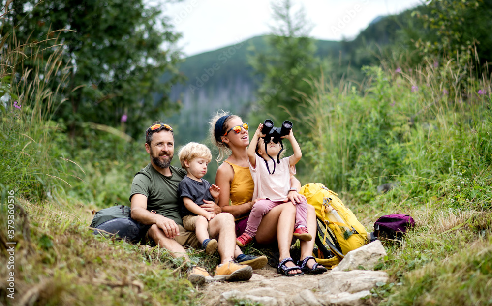 Family with small children hiking outdoors in summer nature, sitting and resting. - obrazy, fototapety, plakaty 