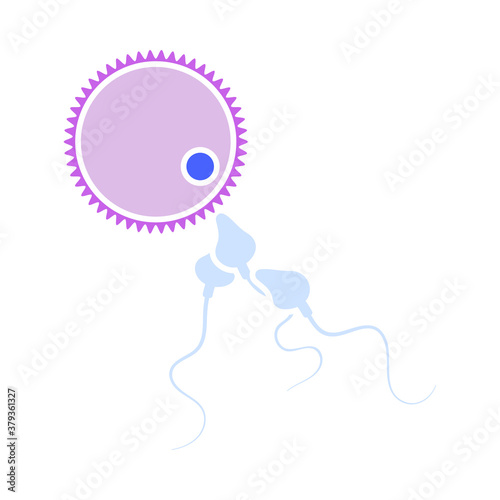Sperm And Egg Cell Icon