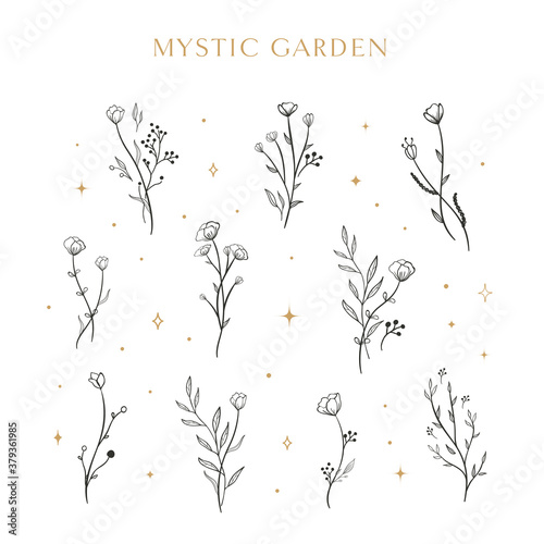 Flowers. Collection of isolated florals sketch on white background. The line art doodle design with stars. Vector illustreation for tattoo or logo