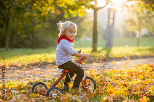 Beautiful blonde two years old toddler boy, riding red tricycle in the park on sunset photo