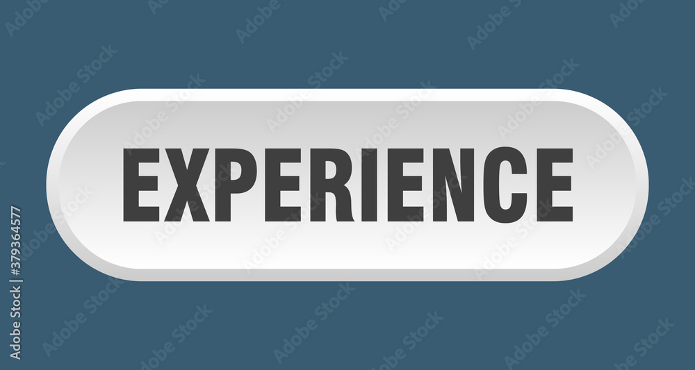 experience button. rounded sign on white background experience button. rounded sign on white background