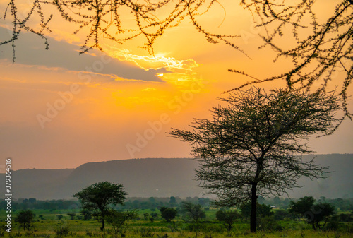 Spectacular Ngoro Ngoro sunset over the African bush photo