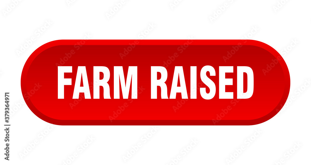 farm raised button. rounded sign on white background farm raised button. rounded sign on white background