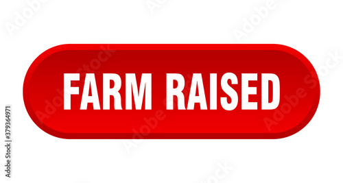 farm raised button. rounded sign on white background