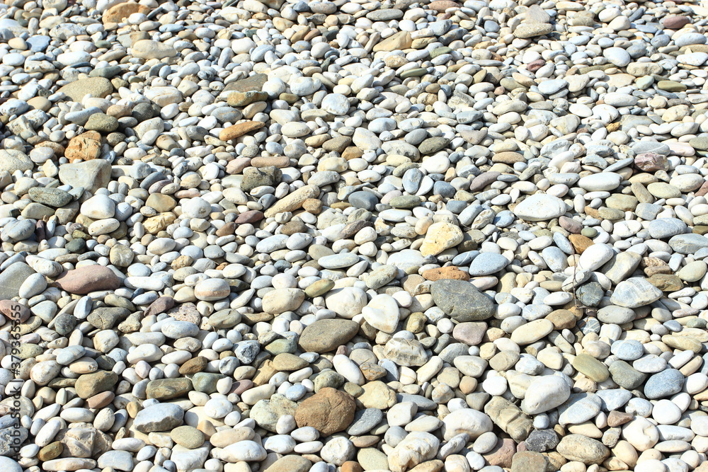 Colorful rounded rocks, pebbles on the river coast