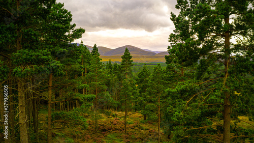 Beautiful view over the Cairngorms National Park on the way to An Lochan Uaine in Scotland photo