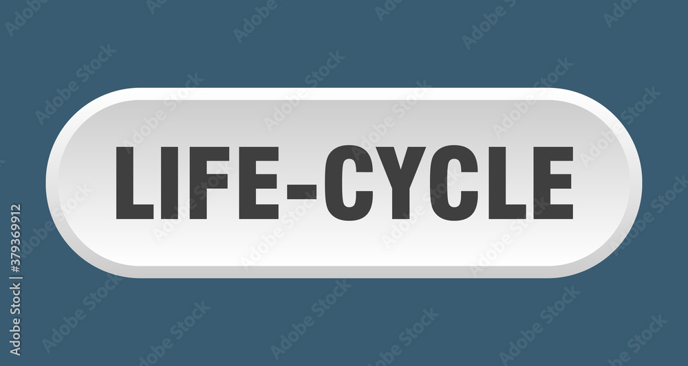 life-cycle button. rounded sign on white background life-cycle button. rounded sign on white background