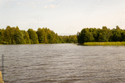 River in the forest