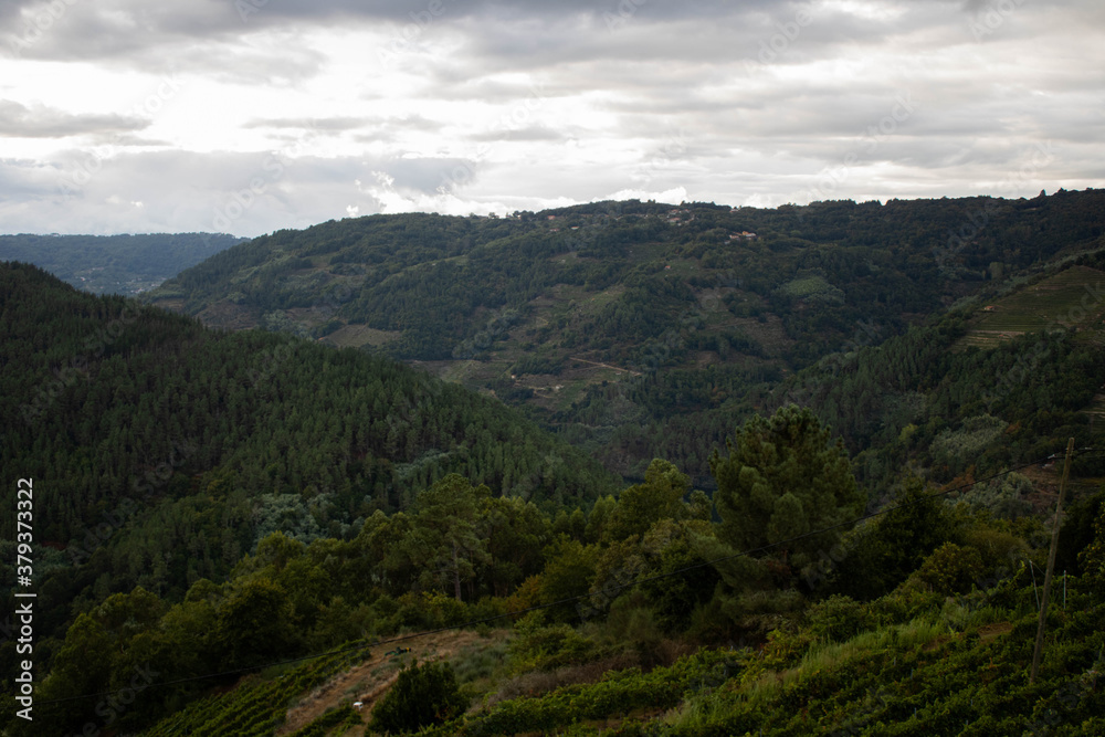 Fototapeta premium Vistas de la Ribeira Sacra en A Cova, O saviñao, Galicia España