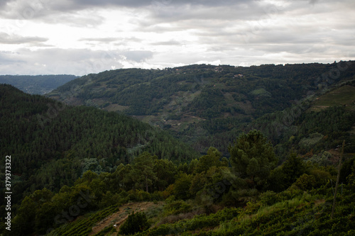 Vistas de la Ribeira Sacra en A Cova, O saviñao, Galicia España