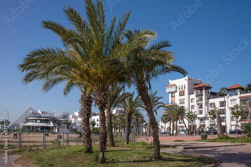 Jardines y palmeras en el paseo marítimo de Agadir, Marruecos
