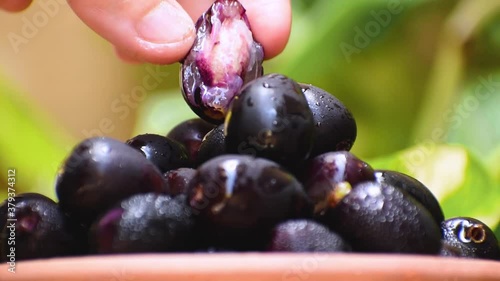 Close up shot of woman's hand picking juicy Jamun fruit from bowl photo