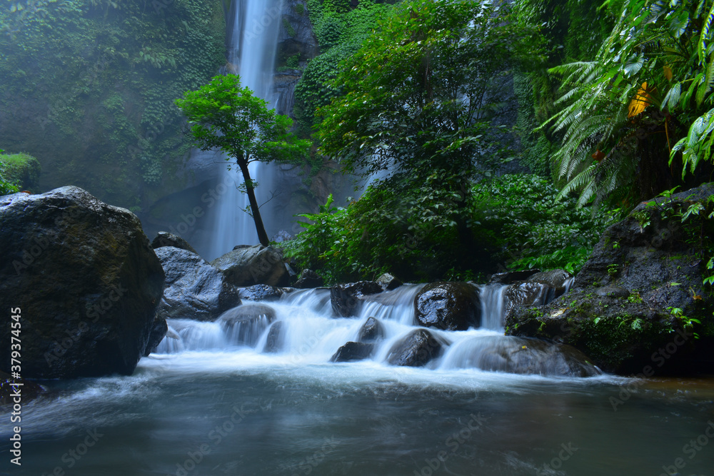 Fototapeta premium waterfall in the forest