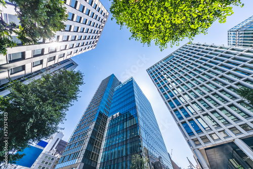 Photography 新緑が綺麗な東京のビル群