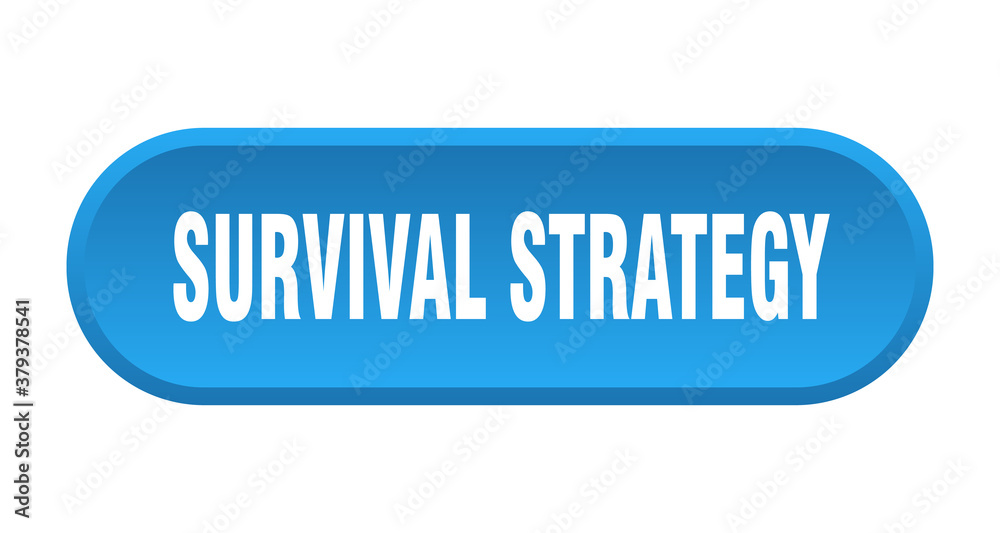 survival strategy button. rounded sign on white background survival strategy button. rounded sign on white background