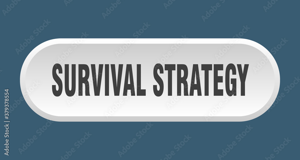 survival strategy button. rounded sign on white background