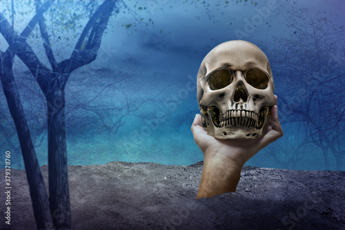 Hand raised from the ground and holding a human skull on the haunted forest