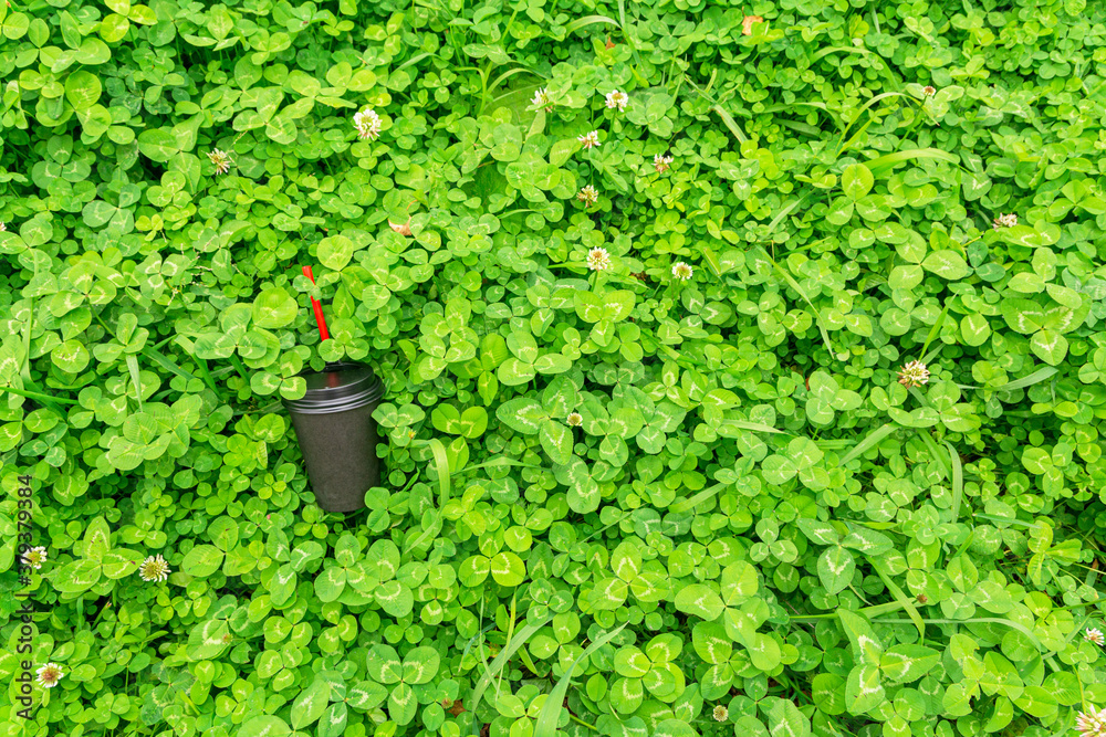 A black paper coffee cup with a red straw is thrown into the green grass. View from above. Environmental pollution with household waste A black paper coffee cup with a red straw is thrown into the green grass. View from above. Environmental pollution with household waste