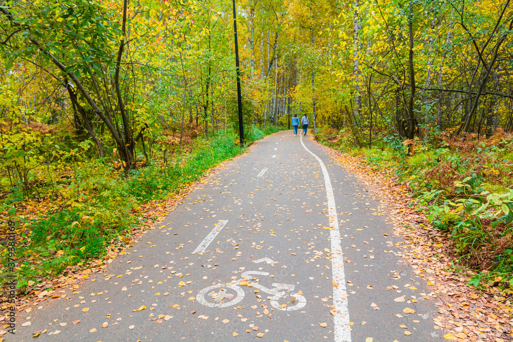 Fototapeta premium Walking and fitness path in the autumn forest. Walking in the fresh air is good for your health