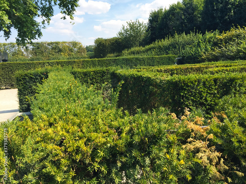garden view of Palace and Gardens of Schönbrunn in Vienna, Austria photo