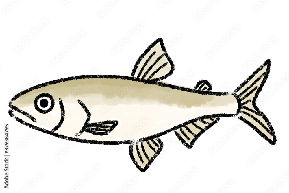 わかさぎ 公魚 手描き
わかさぎ 公魚 手描き