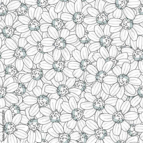 Realistic small gerbera flowers seamless pattern template. Daisy vector illustration in black and white for games  background  pattern  decor. Print for fabrics and other surfaces. Coloring paper