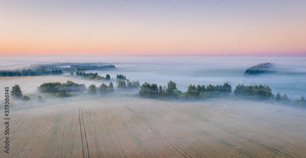 Morning fog in the meadows during sunrise in the countryside, aerial view height of the landscape on the horizon, a trees in the fog. Wheat fileld Morning fog in the meadows during sunrise in the countryside, aerial view height of the landscape on the horizon, a trees in the fog. Wheat fileld