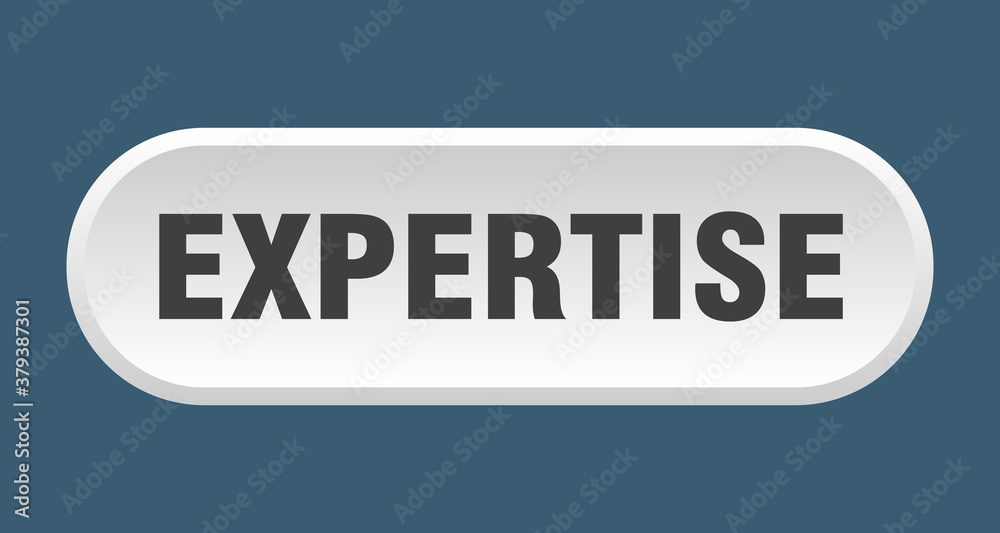 expertise button. rounded sign on white background expertise button. rounded sign on white background