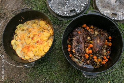 Kartoffelgratin und Rehrücken mit Gemüse im Dutch Oven photo