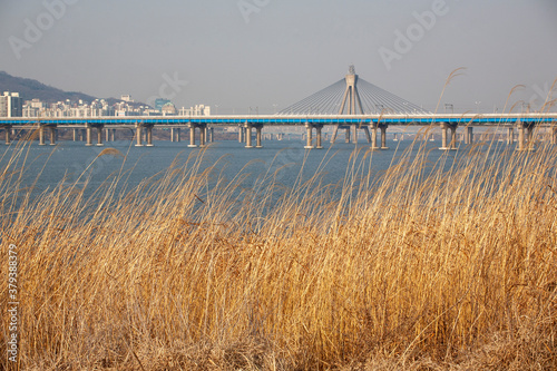 Photography bridge over the river