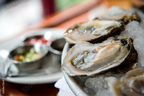 Oysters