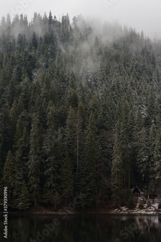 scenic fog in the mountains forest in the fall