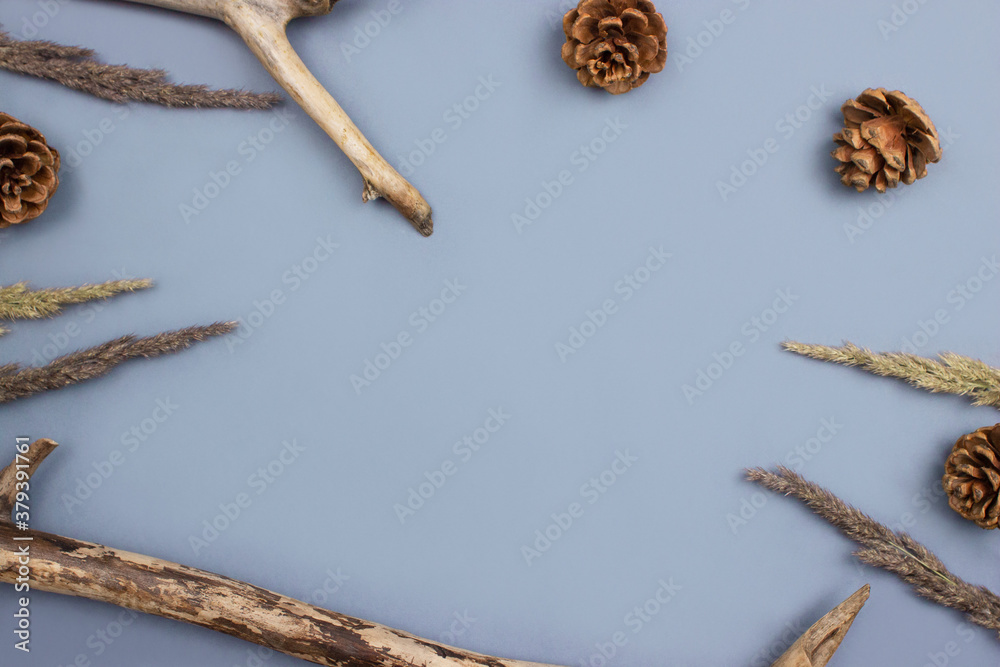 Obraz premium Wooden branches, fir cones, dry pampas grass creative flat lay on blue background top view with copy space. Natural, eco, organic forest background. Fall, autumn composition layout. Stock photo.
