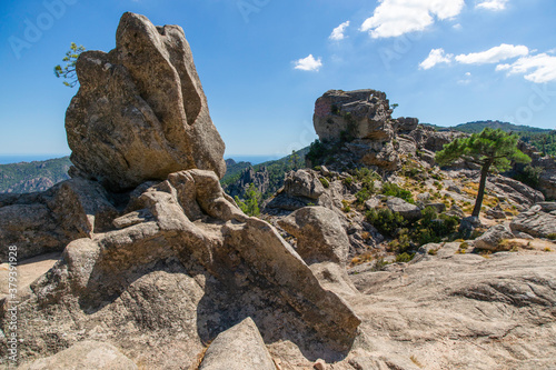 Rocher sentinelle, Alta Rocca, Korsika photo