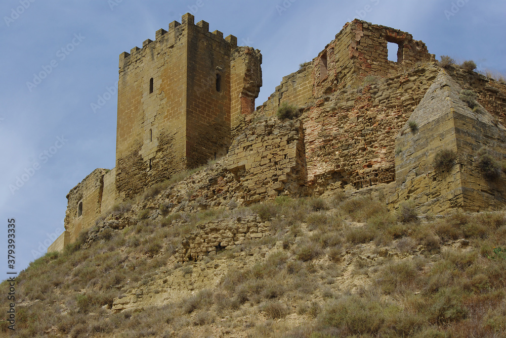 View of the ruins of the Castle of Montearagón near Huesca, Aragon, Spain