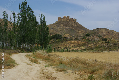 View of the ruins of the Castle of Montearagón near Huesca, Aragon, Spain