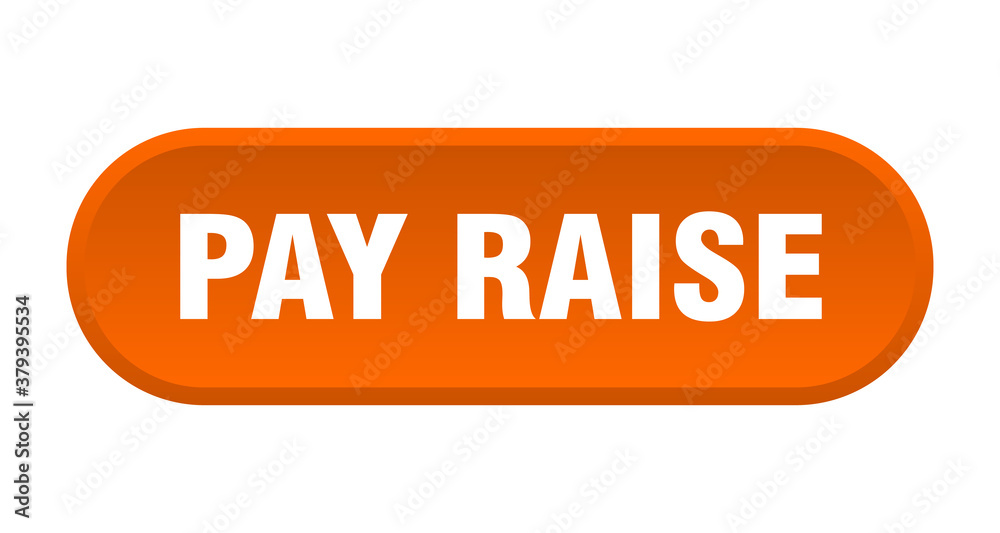 pay raise button. rounded sign on white background pay raise button. rounded sign on white background